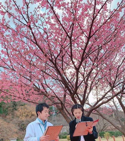 20200116桜.jpg