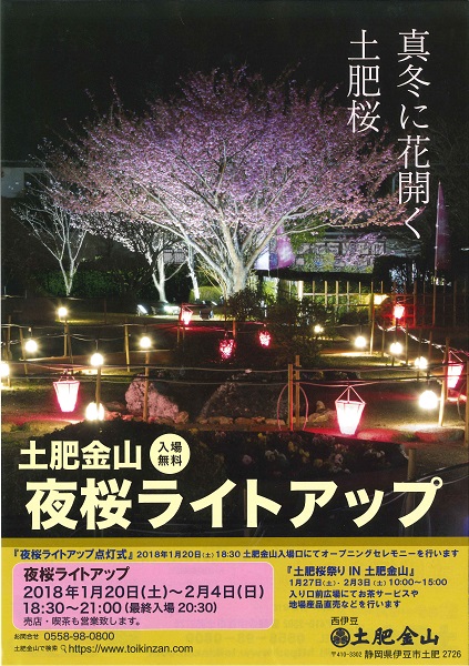 夜桜ライトアップ.jpg
